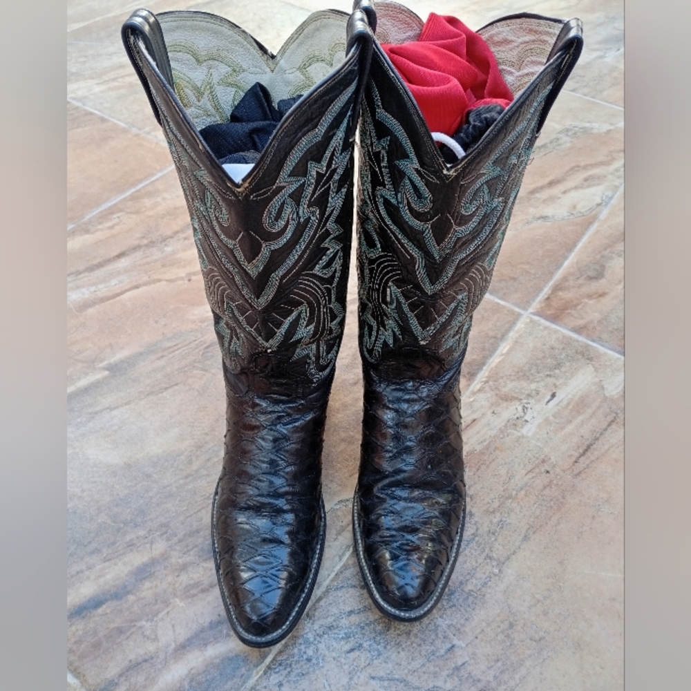 Pre Ban Anteater Cowboy Boots